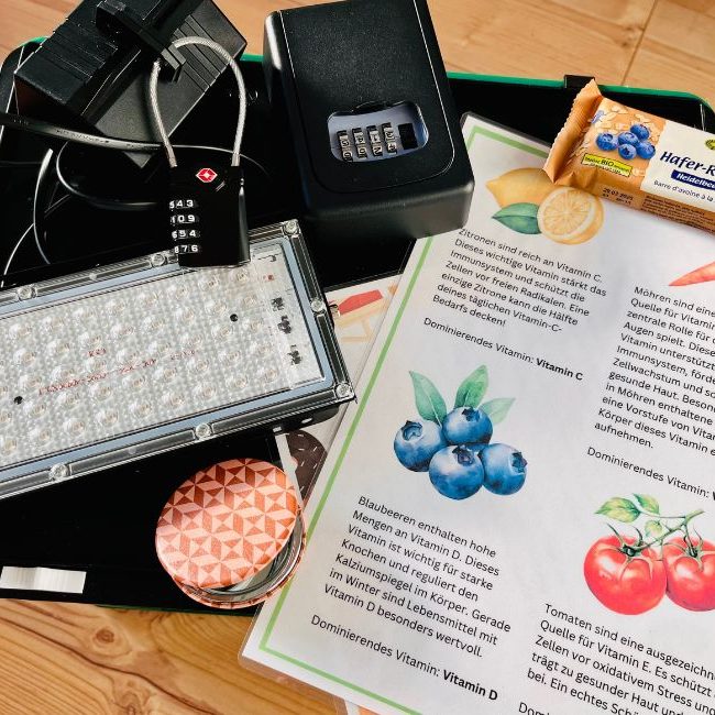 Spielmaterial und Ernährungssymbole wie Obst und Lebensmittelkarten